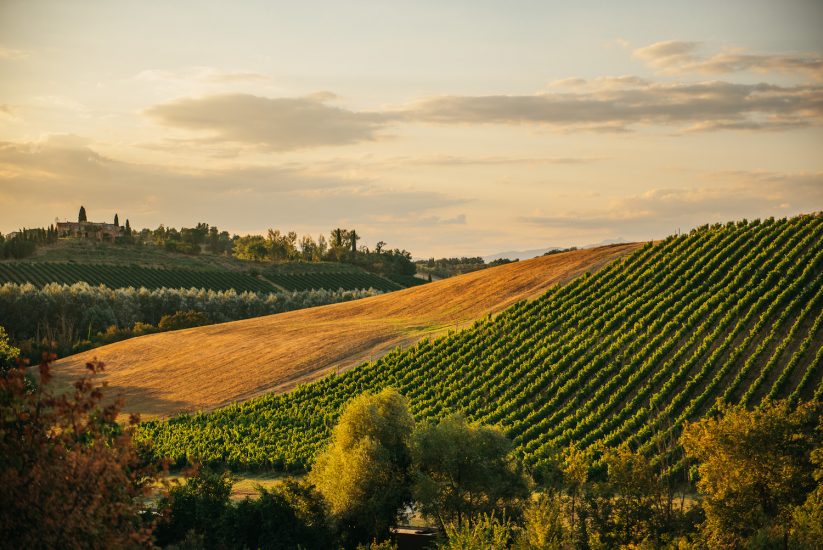 Villa Petriolo è una grande tenuta con borgo e fattoria