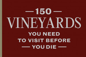 I vigneti italiani da visitare almeno una volta nella vita? Ecco le “15 Meraviglie” del Belpaese