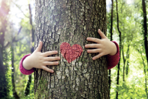 I &ldquo;Parchi della Salute. Per un Neorinascimento del Verde e della sua Cura&rdquo;