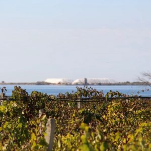 Ryanair, la meta enogastronomica da visitare in Italia? La Sicilia, da Trapani a Marsala