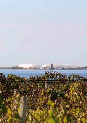 Ryanair, la meta enogastronomica da visitare in Italia? La Sicilia, da Trapani a Marsala