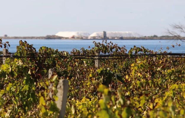 AEREI, COMPAGNIE AREE, MARSALA, RYANAIR, SICILIA, TRAPANI, TURISMO DEL VINO, TURISMO ENOGASTRONOMICO, Italia
