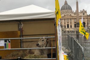 Una stalla su dieci in Italia a rischio chiusura per il boom dei costi