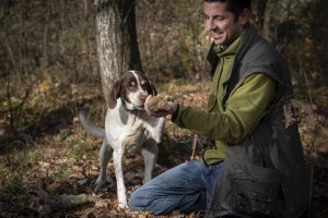La stagione del tartufo bianco finisce con un &ldquo;grazie&rdquo; speciale: ai &ldquo;Tabui&rdquo; e al loro fiuto