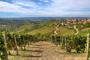Barbaresco di Gaja, Flaccianello di Fontodi e Monfortino: i top performer 2023 sull’Italy 100 Barbaresco di Gaja, Flaccianello di Fontodi e Monfortino: i top performer 2023 sull’Italy 100