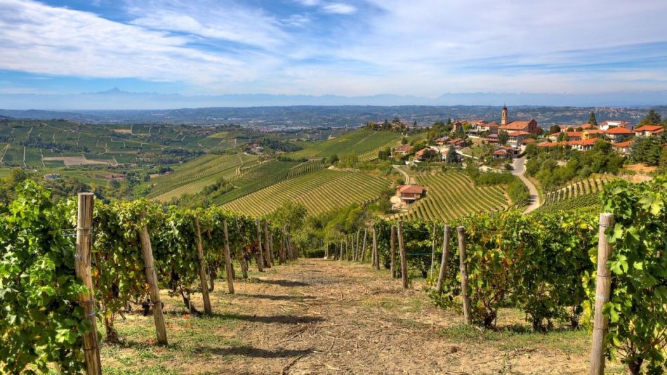 I vigneti di Gaja a Barbaresco