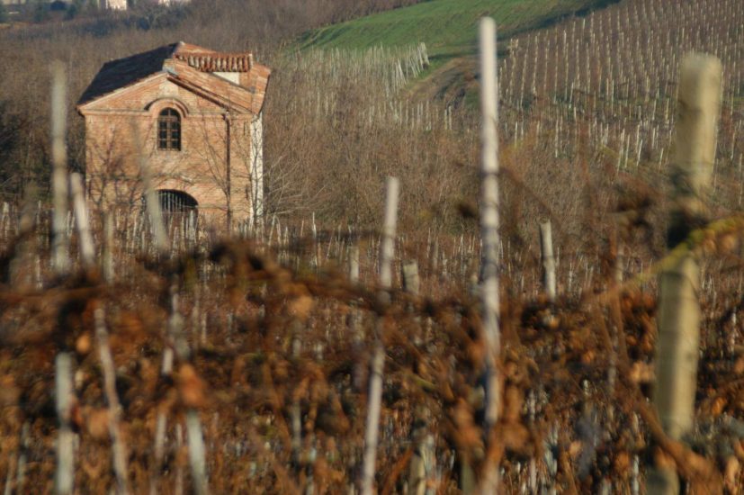 Nelle Langhe è tempo di “Nebbiolo Prima” ad Alba (ph: Albeisa)