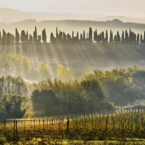 C’è la Toscana al primo posto in Europa tra i territori più amati dai wine lovers