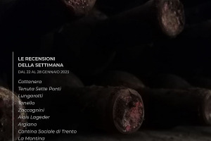 I Vini di WineNews - N. 242