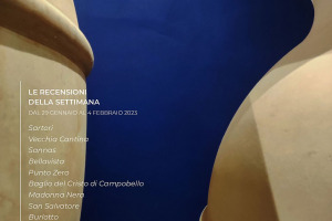 I Vini di WineNews - N. 243