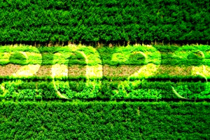 L’agricoltura italiana tra costi alle stelle e consumi giù, tra guerra e climate change