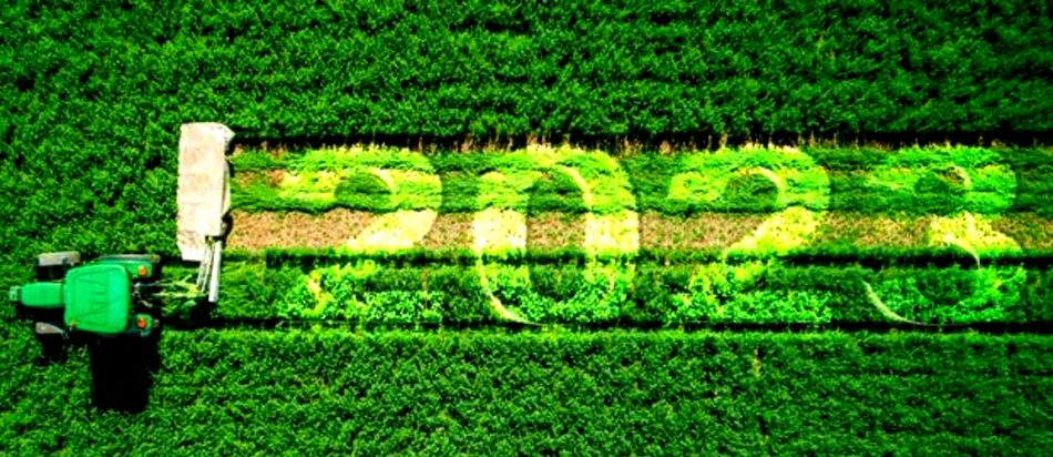 L’agricoltura italiana per Cia - Agricoltori Italiani e Nomisma