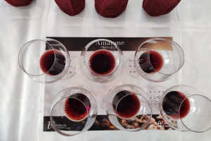 “Amarone Opera Prima” 2023: l’Amarone 2018 alla prova del calice, guardando all’Unesco