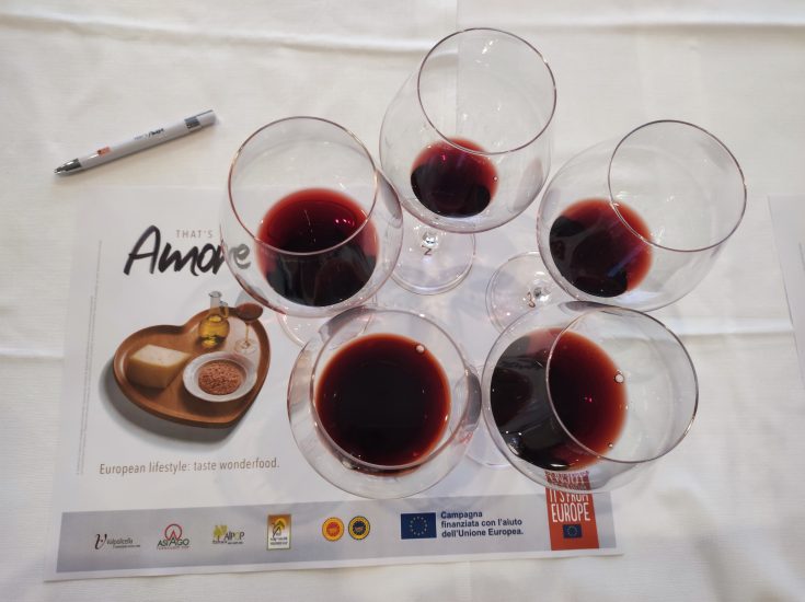 Amarone Opera Prima 2023 - Masterclass Degustazione