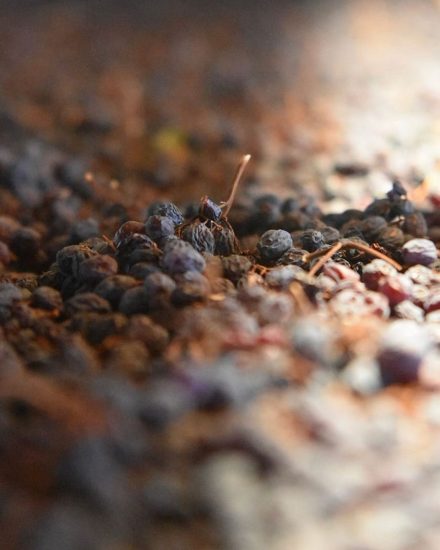 “Amarone Opera Prima” con il Consorzio Valpolicella a Verona