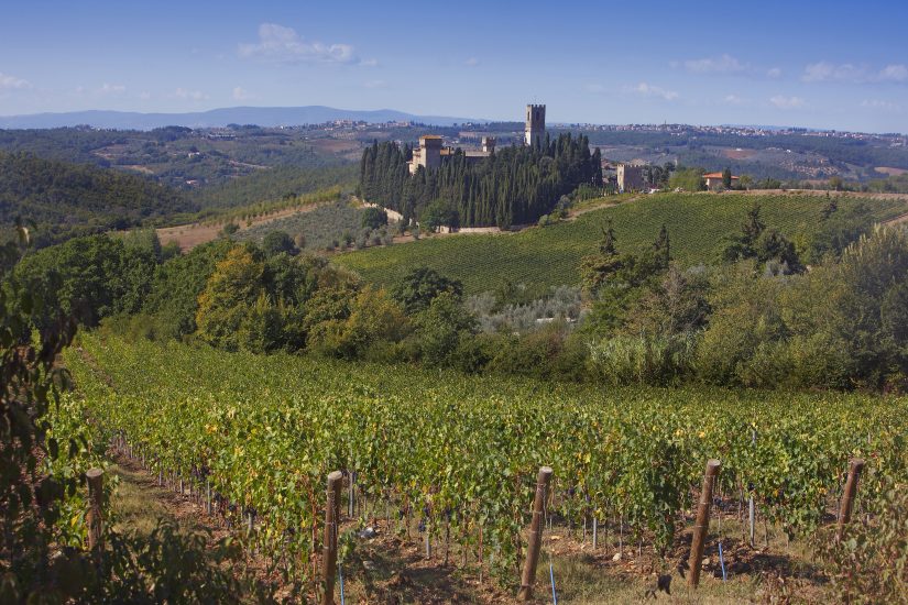 Chianti Classico: crescono i valori. Arrivano le Uga in etichetta