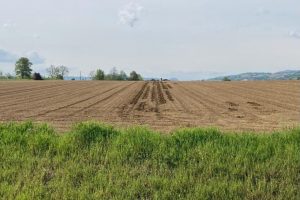 Un protocollo salva biodiversit&agrave; che riconosce le attivit&agrave; venatorie come quelle agricole