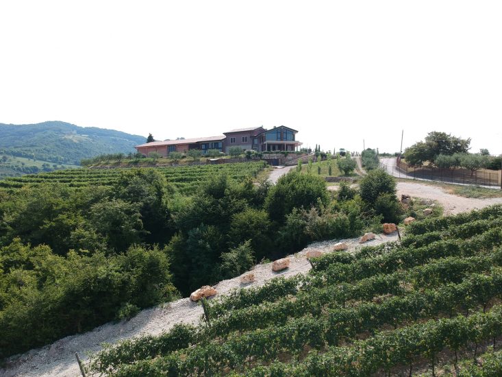 La cantina La Giuva, da Malesani a Signorvino