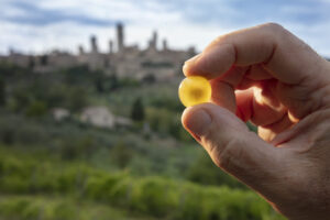 La Vernaccia e San Gimignano, una storia di fortune sovrapposte, che si riflette nel calice La Vernaccia e San Gimignano, una storia di fortune sovrapposte, che si riflette nel calice