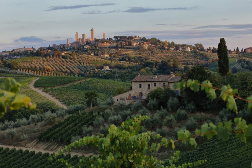 Consorzio di Tutela Vernaccia di San Gimignano - borgo sullo sfondo con casale