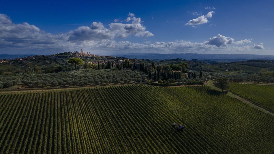 Consorzio di Tutela Vernaccia di San Gimignano - borgo sullo sfondo con panoramica vigneto