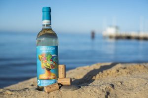 Il vino italiano difende gli oceani, grazie all’“alleanza” tra Vinventions e Donnafugata Il vino italiano difende gli oceani, grazie all’“alleanza” tra Vinventions e Donnafugata