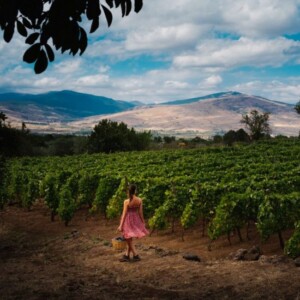 &ldquo;La salvaguardia del patrimonio immateriale &egrave; la chiave per unire turismo slow e territori Unesco&rdquo;