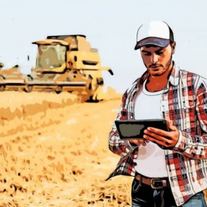 “Generazione Terra”, Ismea finanzia l’accesso ai terreni agricoli per i giovani