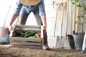 Quattro hobby farmer su 10 scelgono l&rsquo;autoproduzione per &ldquo;coltivare&rdquo; anche il risparmio