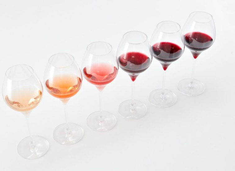 I colori del Lambrusco 