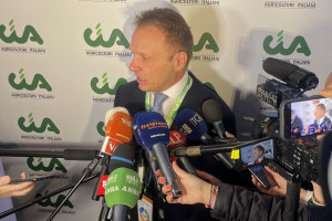 “Il vino dealcolato? Non si chiami vino. Sugli “health warning” continuano a lavorare in Europa”