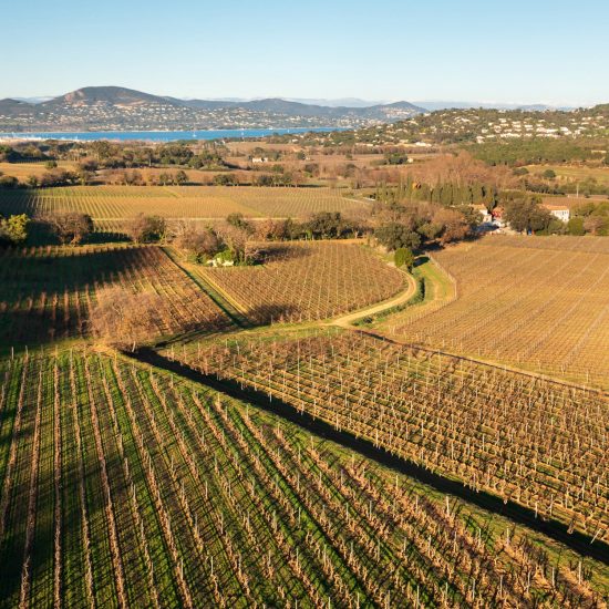 Minuty, azienda leader della Provenza