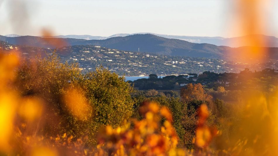 Minuty, azienda leader della Provenza