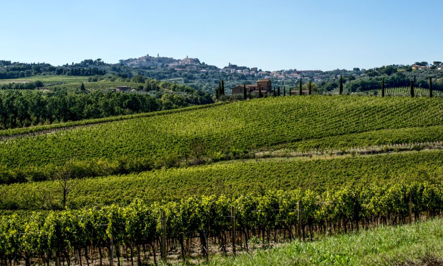 Montepulciano, perla del Rinascimento e terra del Vino Nobile