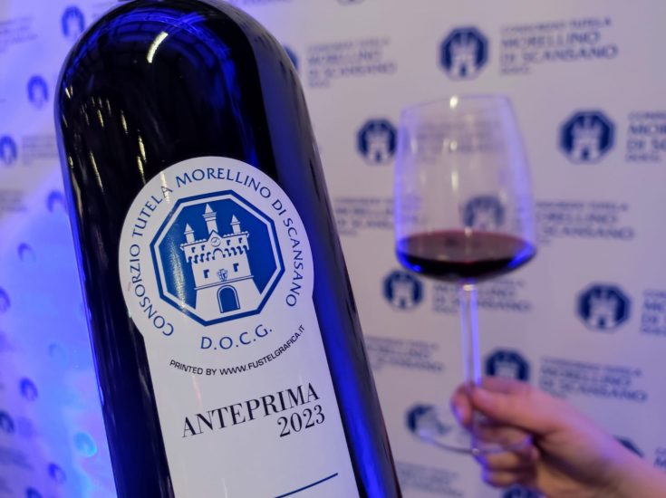 Chianti e Morellino di Scansano nel bicchiere: le nuove annate