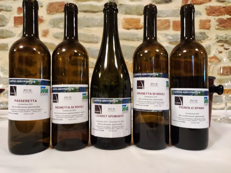 Nebbiolo Prima 2023: vitigni “minori“ imbottigliati - progetto Collezione Ampelografica Grinzane Cavour