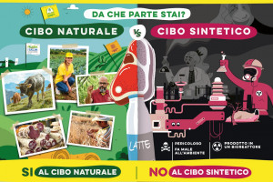 Gli italiani dicono no al cibo sintetico. Si moltiplicano le firme per promuovere una legge ad hoc