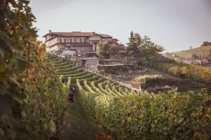 WineChain: tra le prime aziende sulla piattaforma dei wiNeFTs anche Ceretto e Parusso