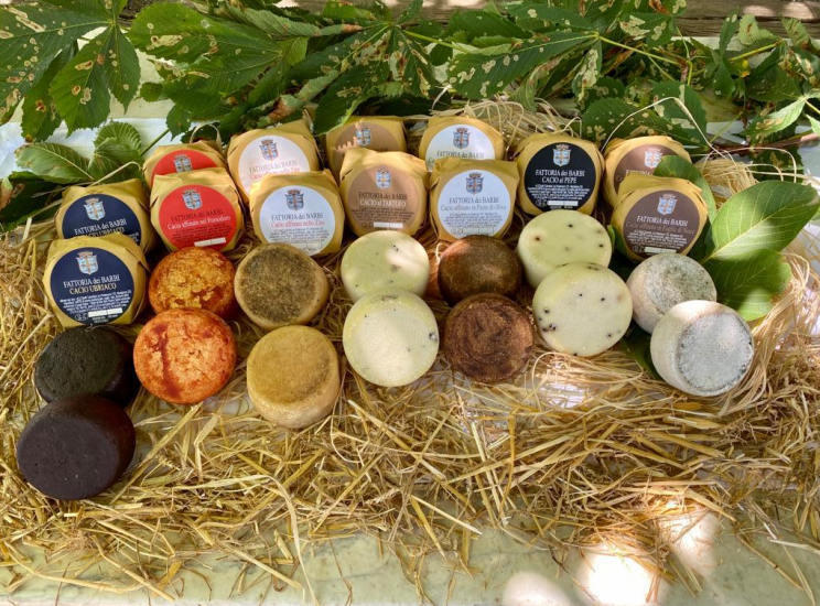I pecorini del Caseificio dei Barbi