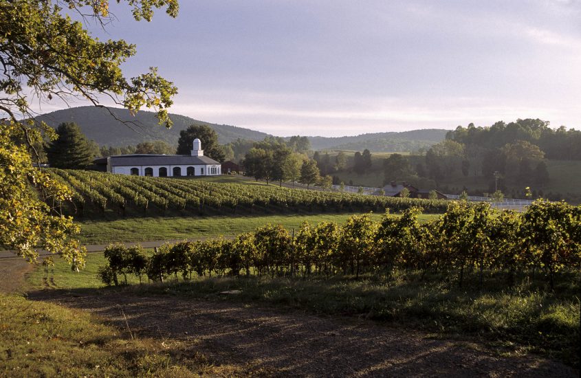 Tenuta di Barbousville, in Virginia, acquistata nel 1976 dalla famiglia Zonin, fu del Presidente Thomas Jefferson