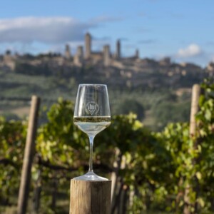 Sessant&rsquo;anni fa, la Vernaccia di San Gimignano &egrave; stata il primo vino italiano ad ottenere la Doc