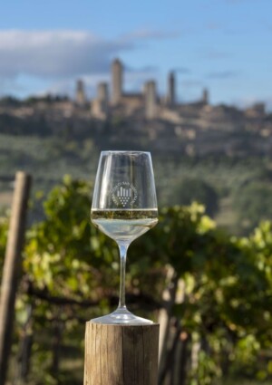 Sessant&rsquo;anni fa, la Vernaccia di San Gimignano &egrave; stata il primo vino italiano ad ottenere la Doc