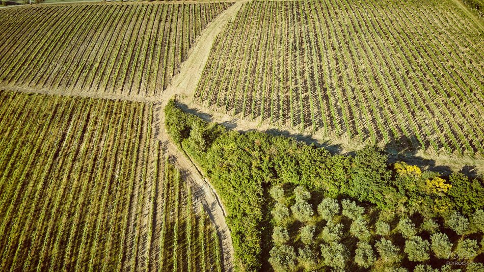 Montepulciano, perla del Rinascimento e terra del Vino Nobile