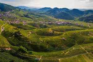 Distretti agroalimentari italiani, export a +14% nei primi 9 mesi 2022, trainato dal vino