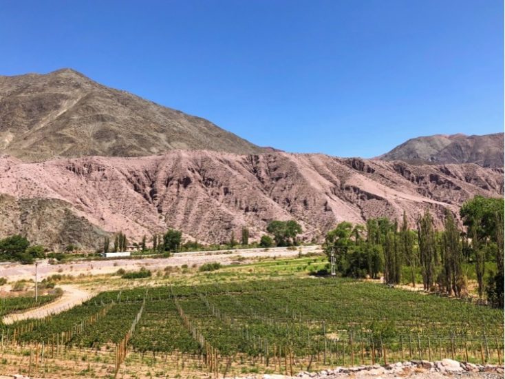 Antropo Wines, nella Regione di Jujuy, in Argentina