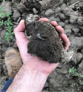 Antropo Wines, nella Regione di Jujuy, in Argentina