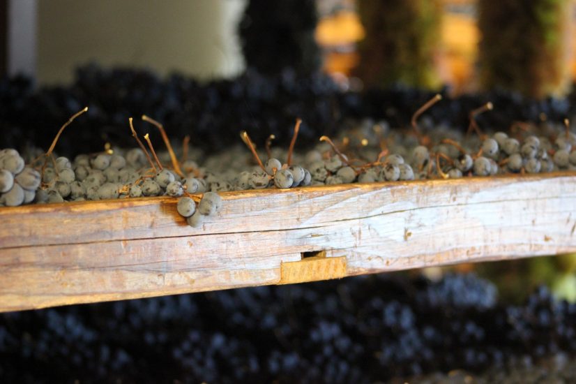 La tecnica dell’appassimento in Valpolicella verso il riconoscimento Unesco