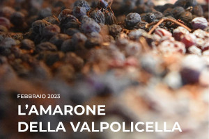 I Quaderni di WineNews - L'Amarone della Valpolicella