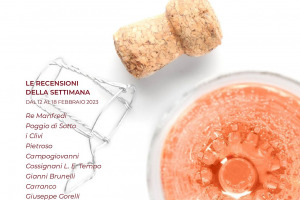 I Vini di WineNews - N. 245