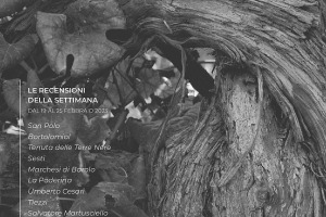 I Vini di WineNews - N. 246